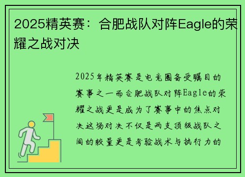 2025精英赛：合肥战队对阵Eagle的荣耀之战对决