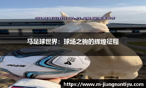 江南体育平台